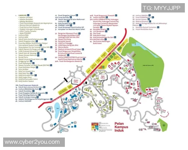 北京羽毛球队进攻体系解析与战术运用探讨MBA